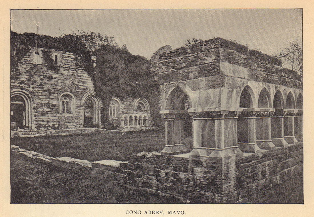 Cong Abbey, Mayo. Ireland 1905 old antique vintage print picture
